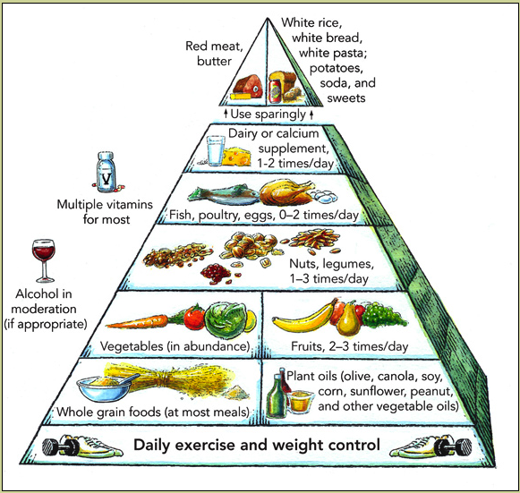 Mediterranean Diet Pyramid 2010 Winter